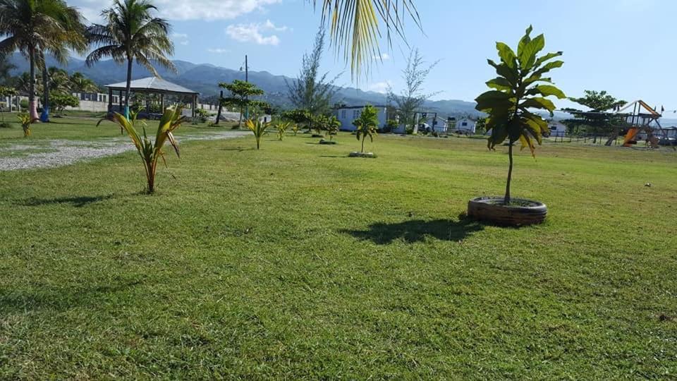 Evasion Beach Hotel Gressier Ngoại thất bức ảnh