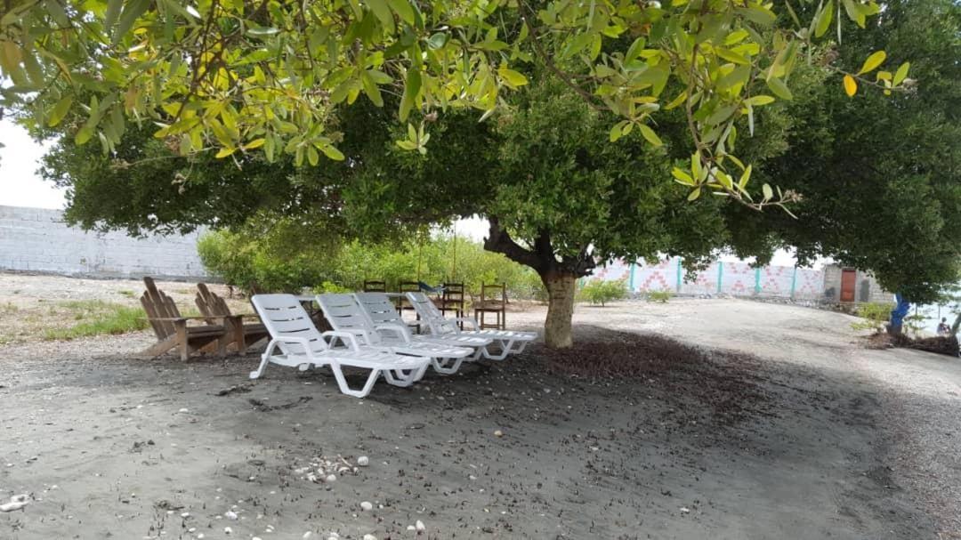 Evasion Beach Hotel Gressier Ngoại thất bức ảnh
